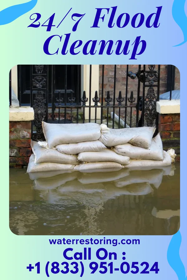 24/7 Flood Cleanup in Scottsburg, VA