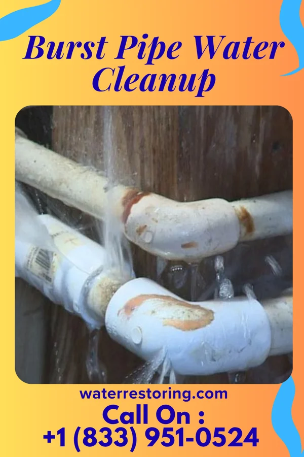 Burst Pipe Water Cleanup in Scottsburg, VA