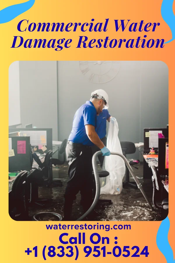 Commercial Water Damage Restoration in Scottsburg, VA