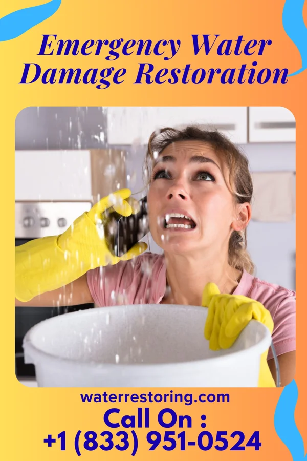 Emergency Water Damage Restoration in Scottsburg, VA