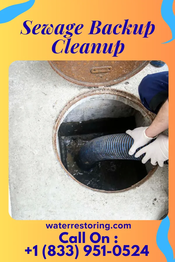 Sewage Backup Cleanup in Scottsburg, VA
